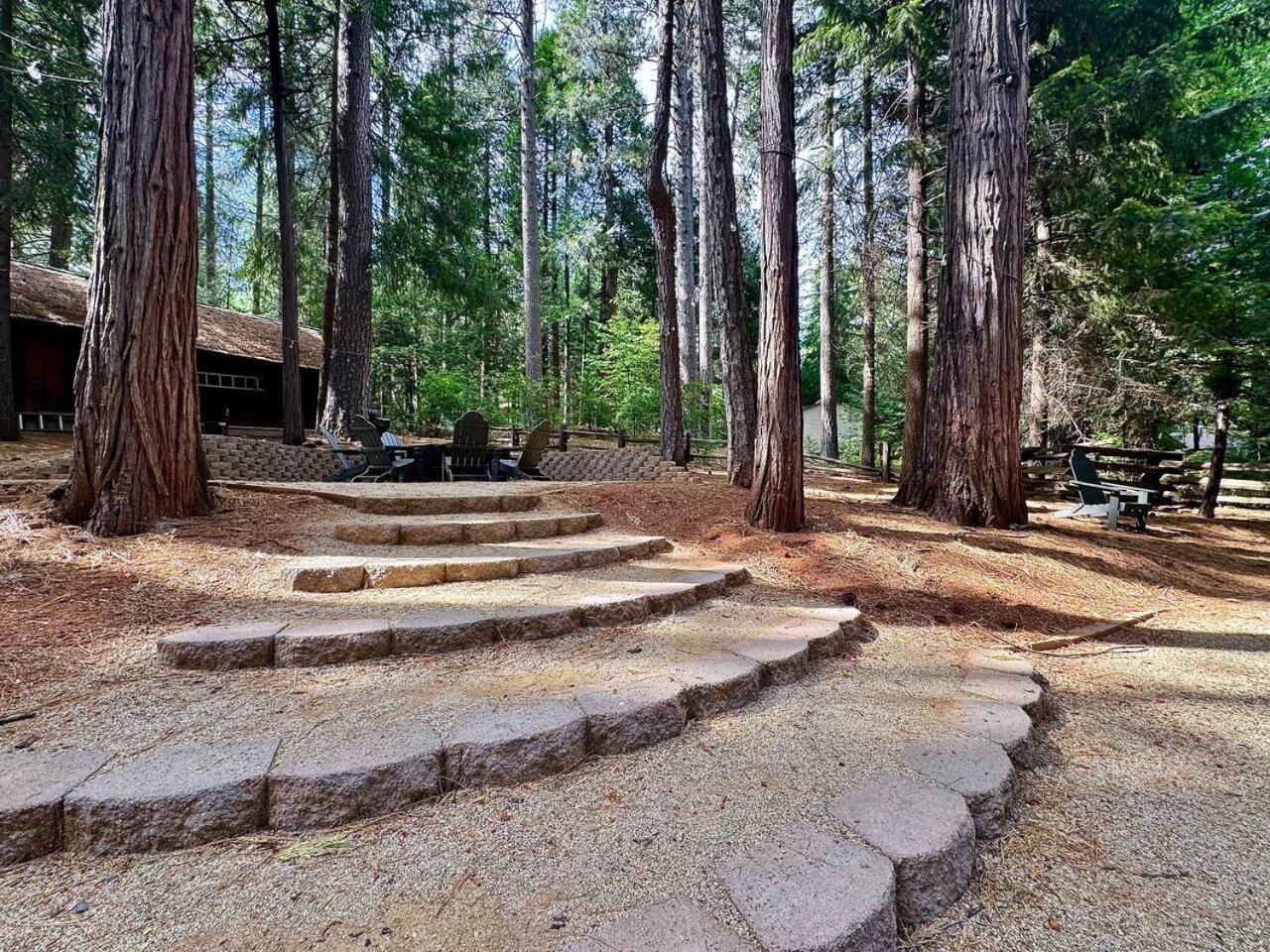 Cabin In The Trees-Game Room Pollock Pines Exteriér fotografie