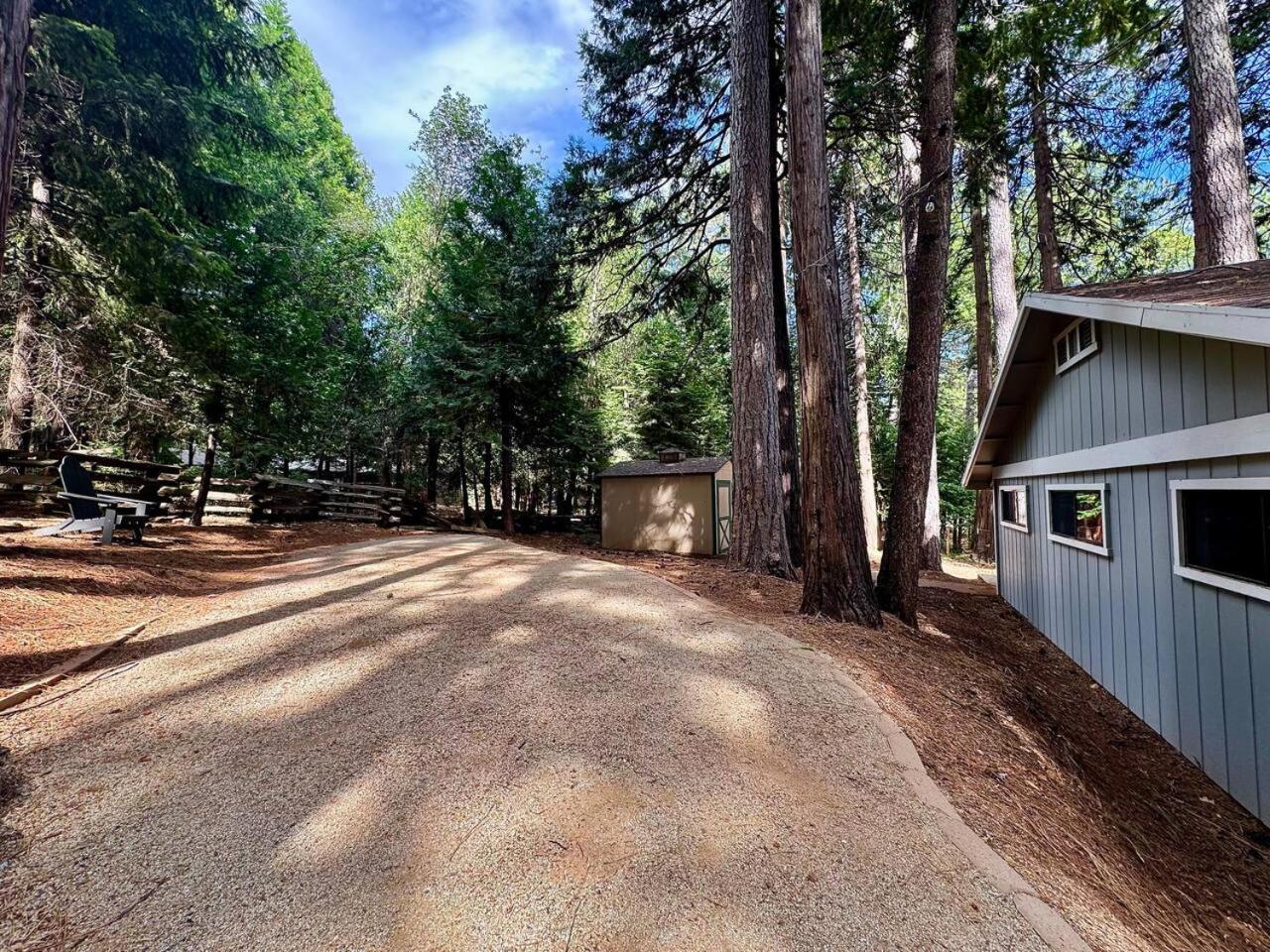 Cabin In The Trees-Game Room Pollock Pines Exteriér fotografie